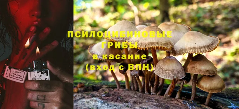 Галлюциногенные грибы GOLDEN TEACHER  даркнет сайт  Калтан 